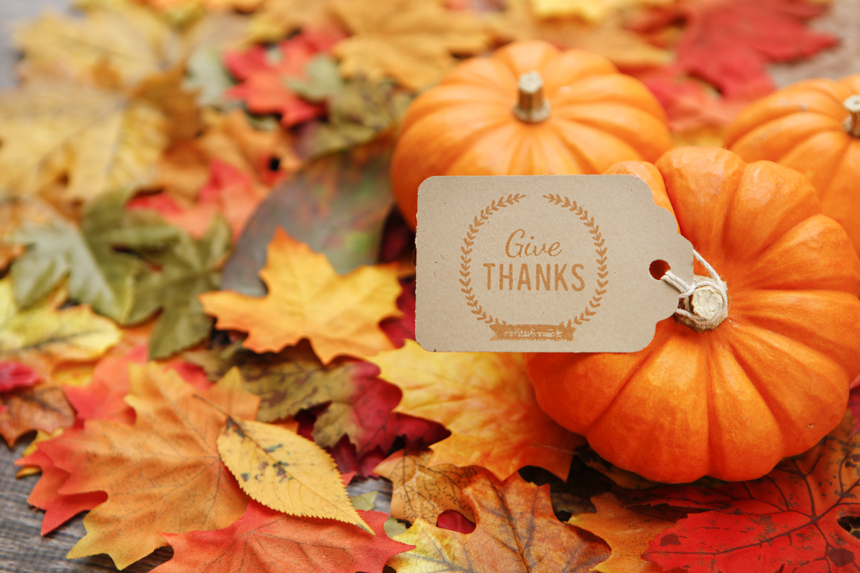 BlueGranite gives thanks