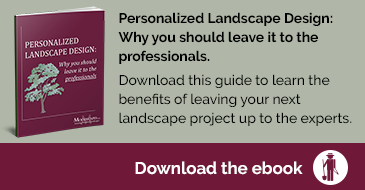 personalized landscape design guide