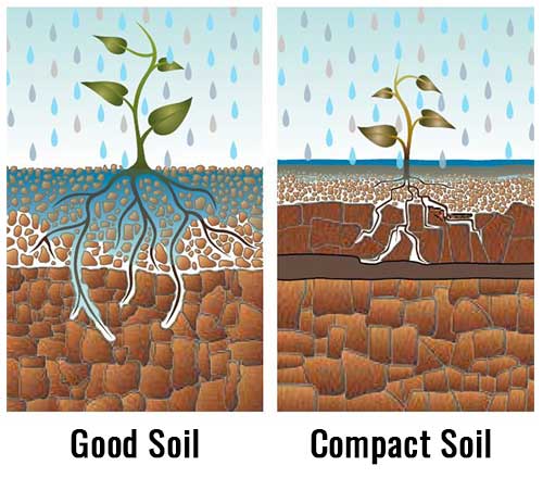 Soil-compaction-differences