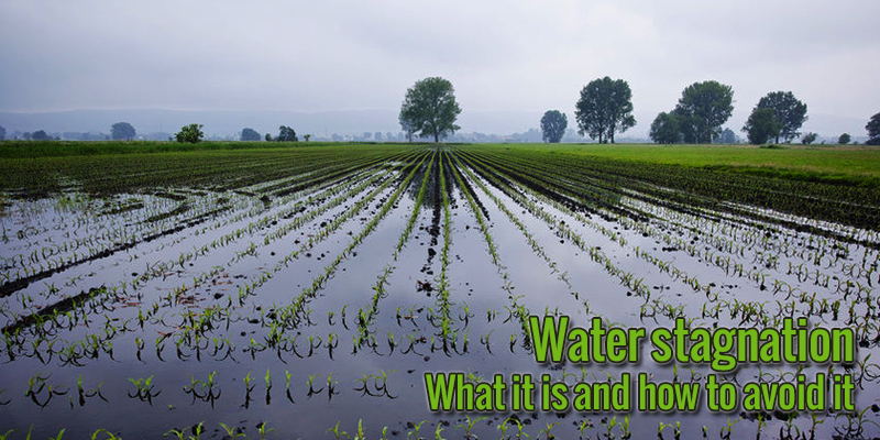 Water Stagnation What It Is And How To Avoid It