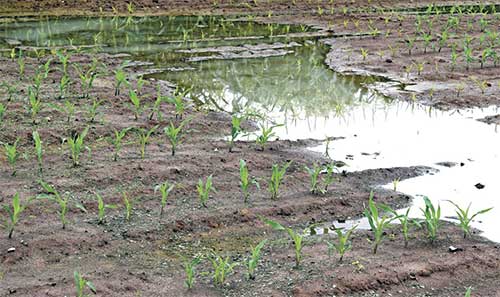 compattazione-del-terreno-acqua