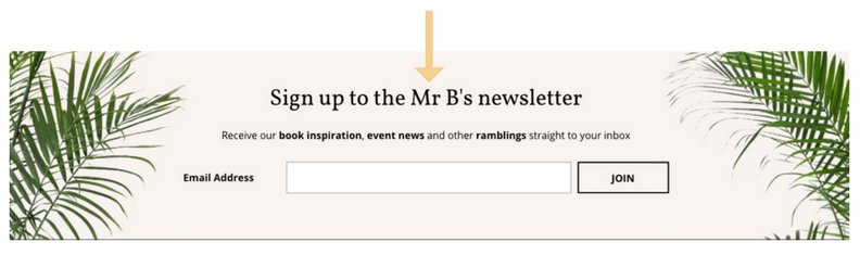 Ed. Mr B newsletter signup box .png