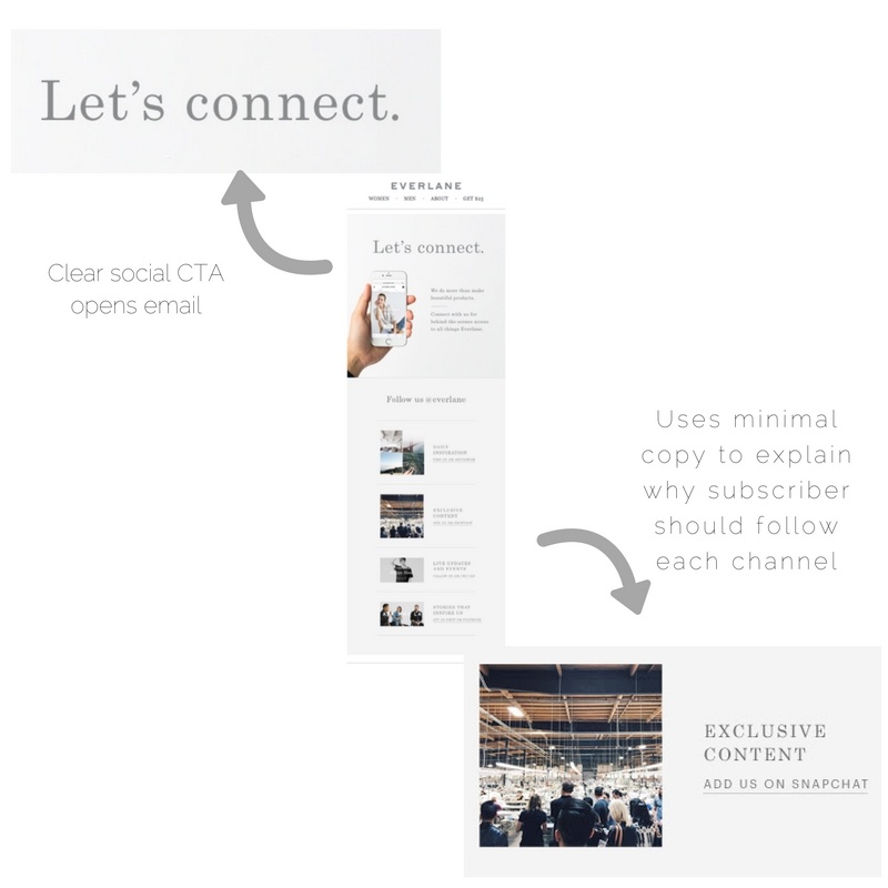 Everlane email marketing_social media promotion 