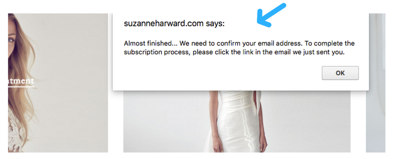 popup confirmation double opt-in Suzanne Harward 