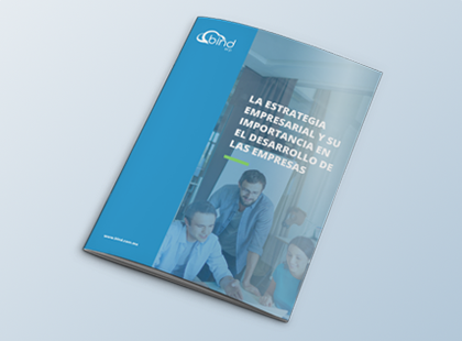Ebook de la importancia de las estrategias empresariales