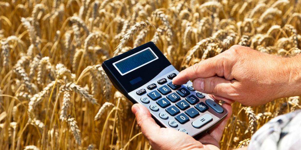 Agricultural Economics in Today's Market