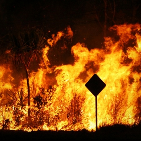 bushfire season 