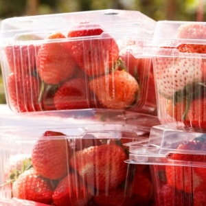 strawberry blog image