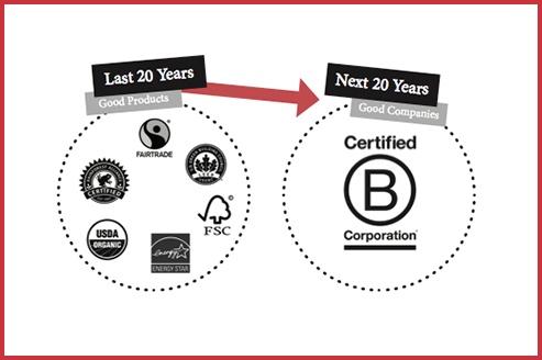 B Corps over next 20 years