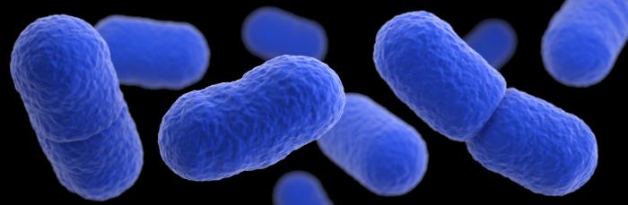 Listeria Bacteria Illustration CDC & James Archer.jpg