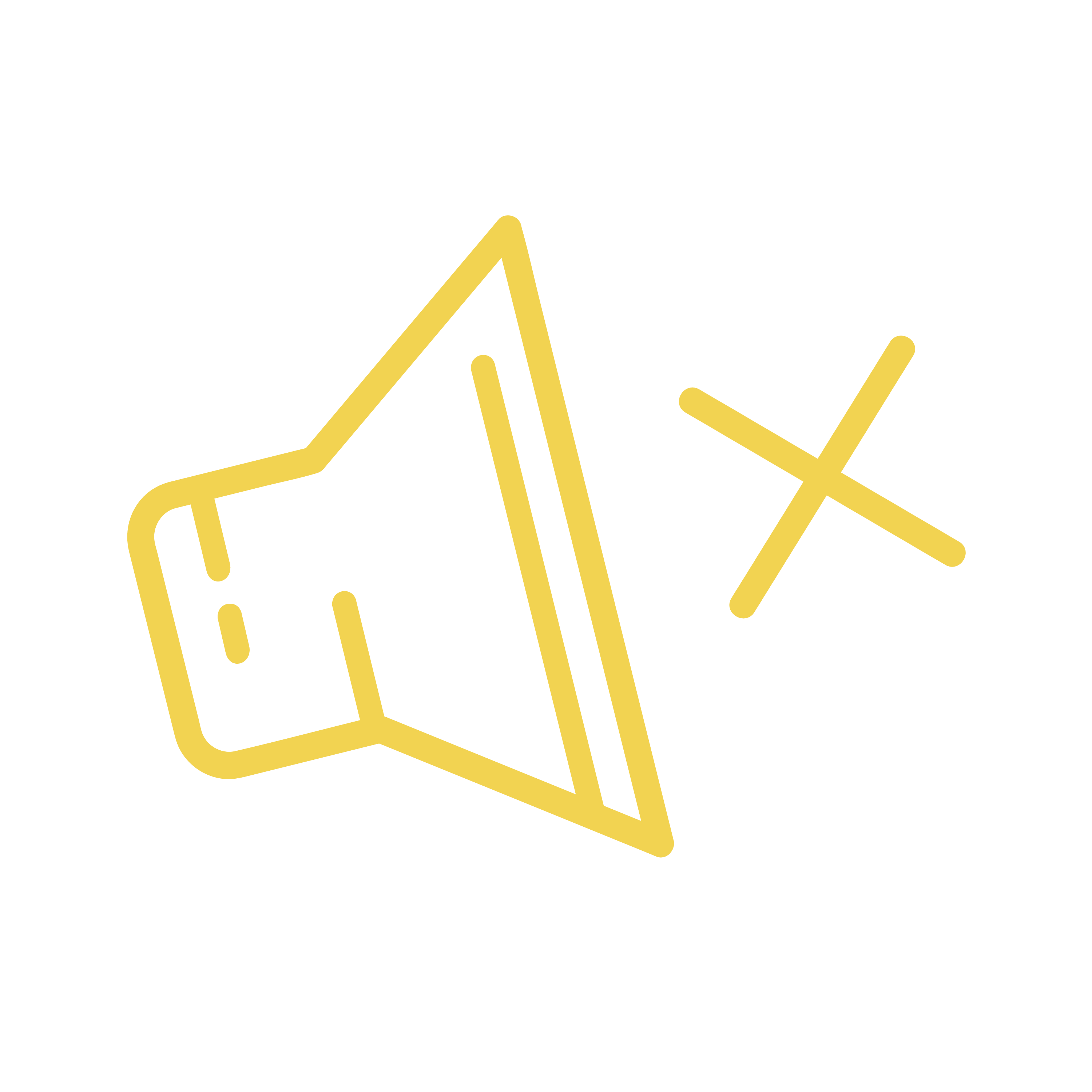 Reserved Communicator DISC Icon