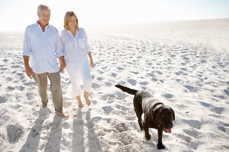 Discover Cultural Gems Near Grandview at Bay Beach