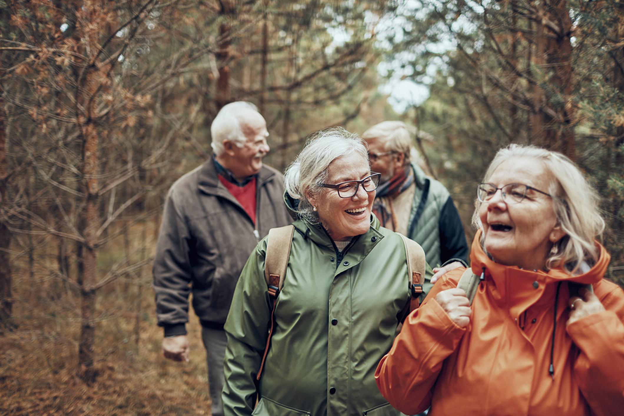 Seniors hiking through the forest