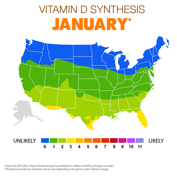 A map of vitamin D synthesis in January