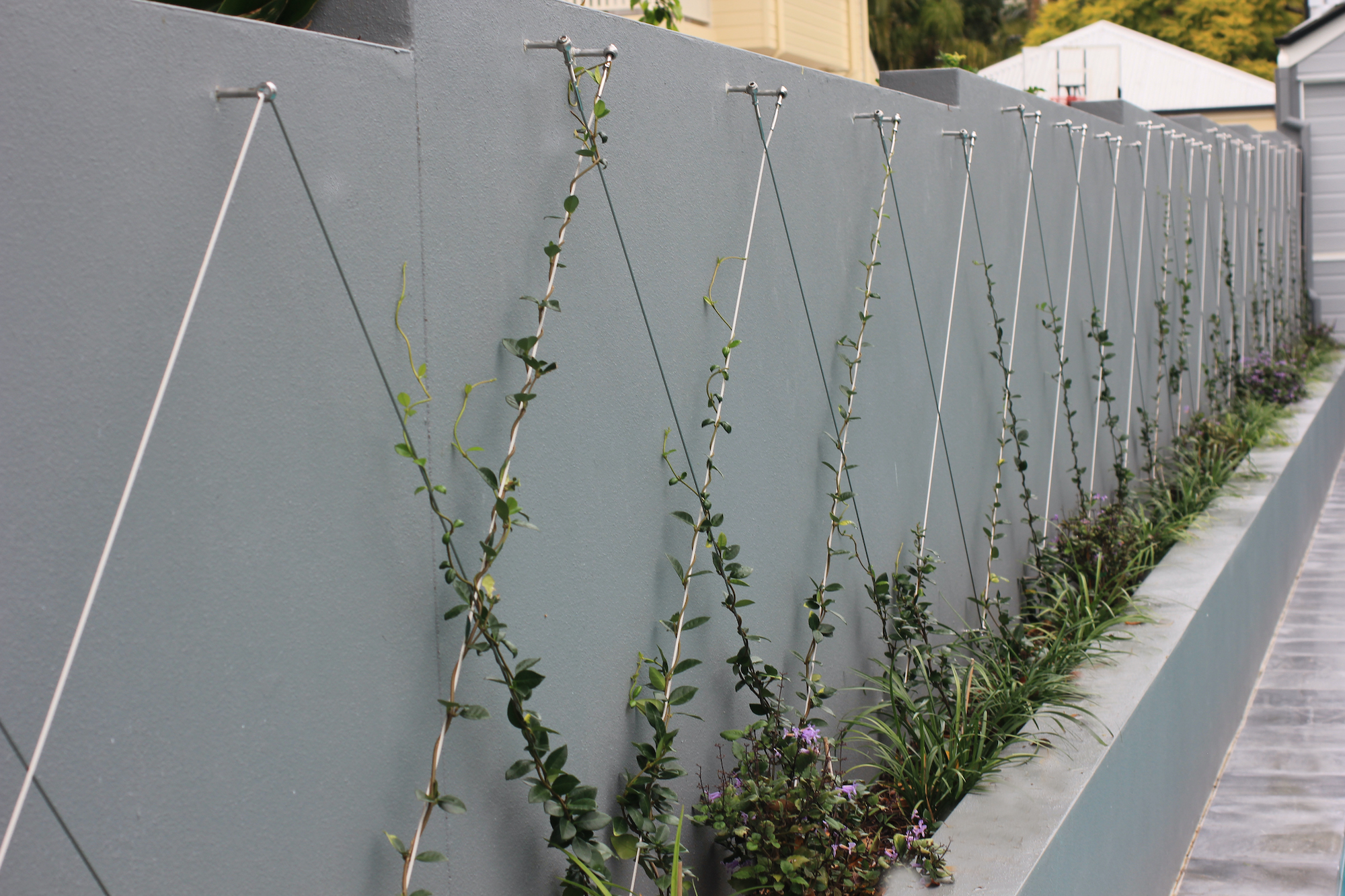 Greenwall DIY kits 3 copy