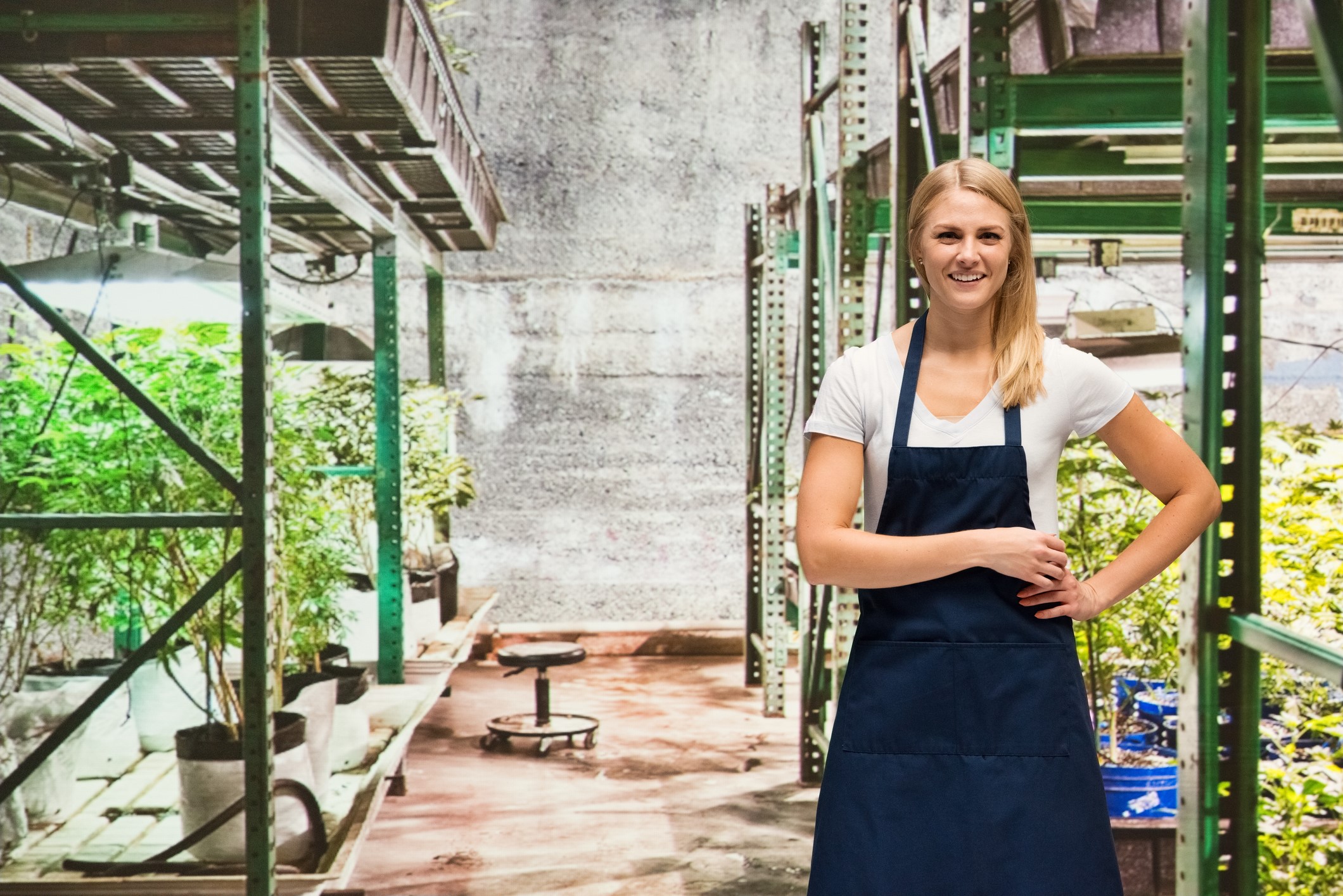 How to Grow Your Cannabis Brand