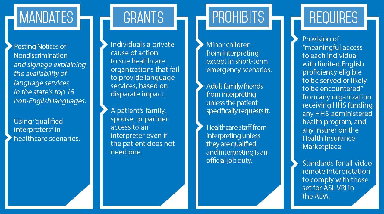 Section-1557-Infographic-1.png