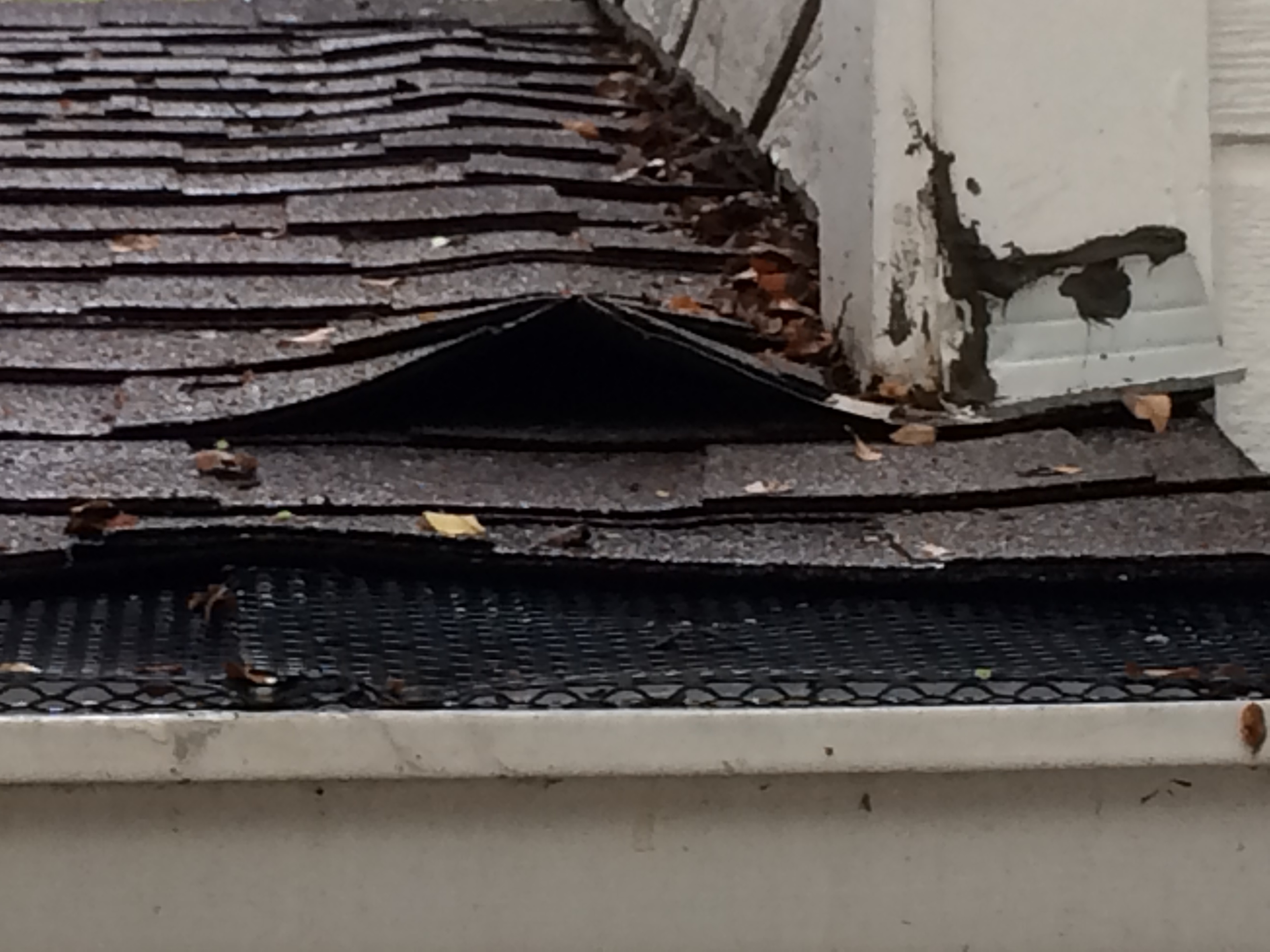 Roof Repair Near Me