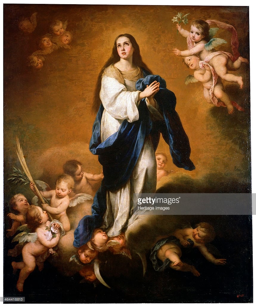 This Calls for a Celebration! The Assumption of Mary