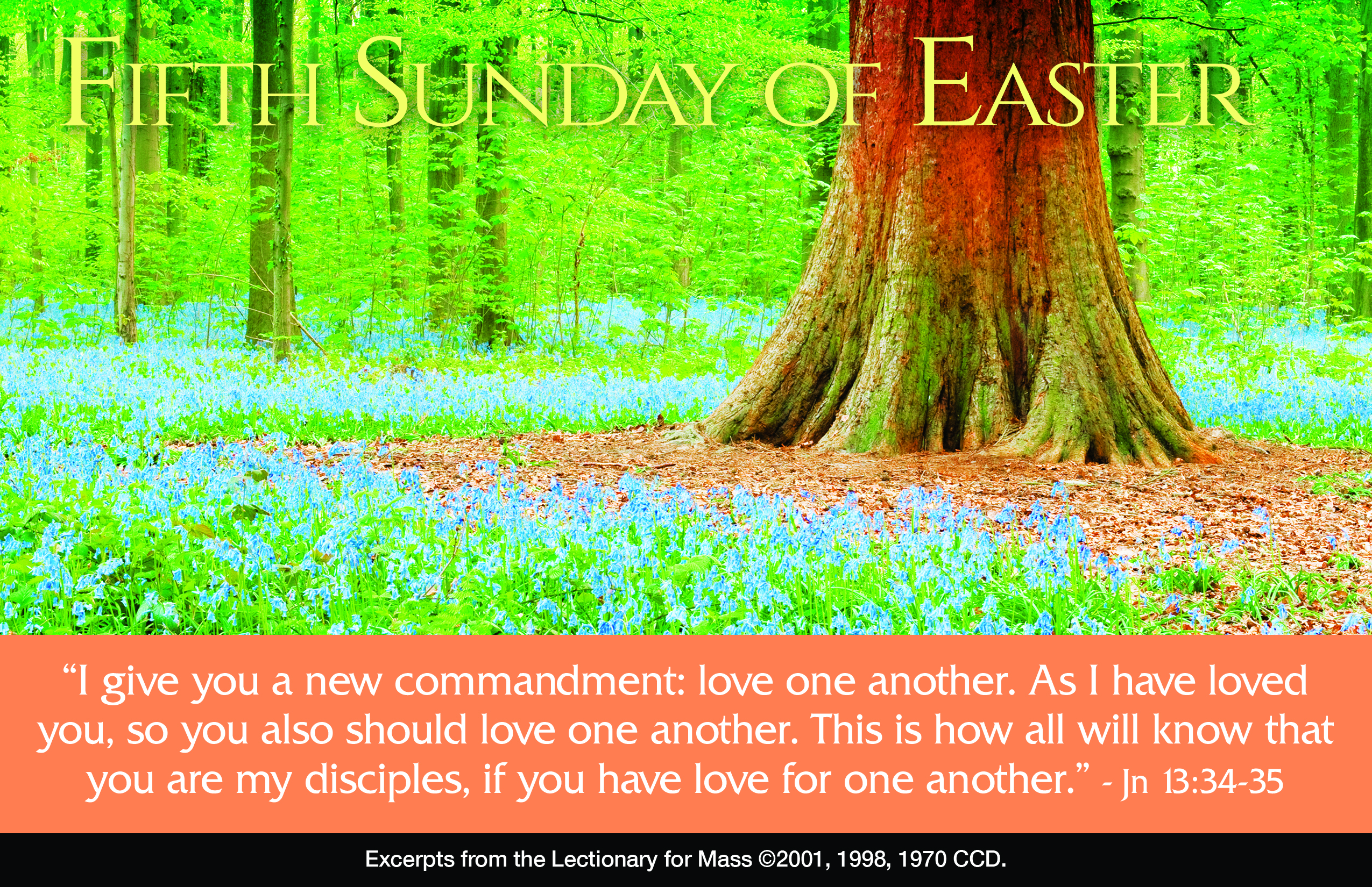 "We Must Undergo Many Trials" Reflection for the 5th Sunday of Easter