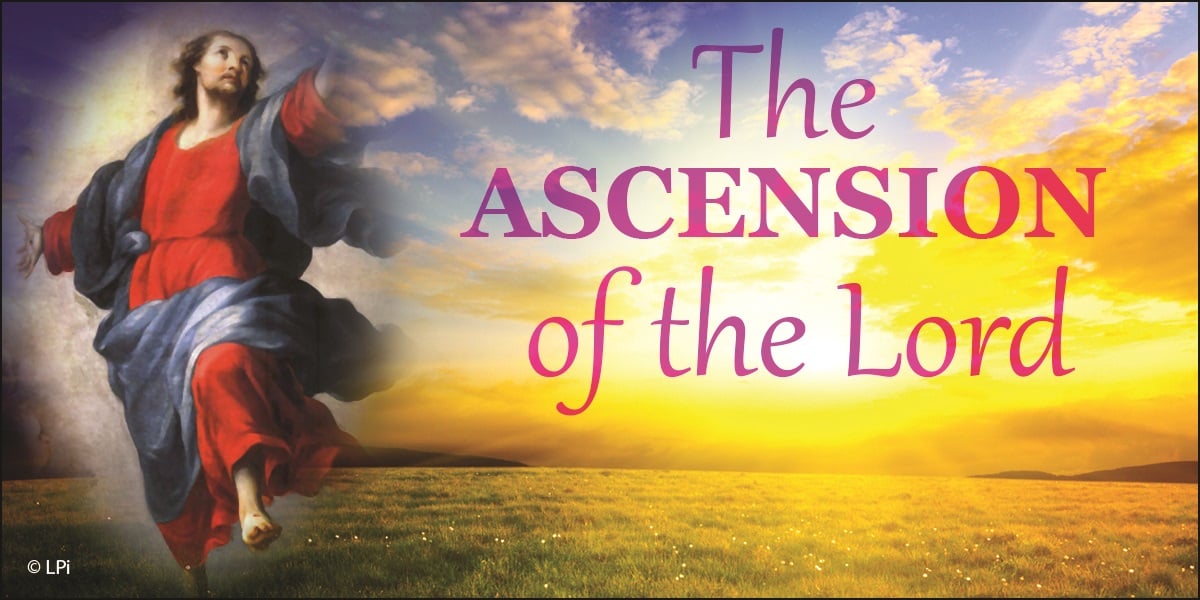 Reflection for the Solemnity of the Ascension