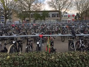 Bikes on the Dutch eschange visit