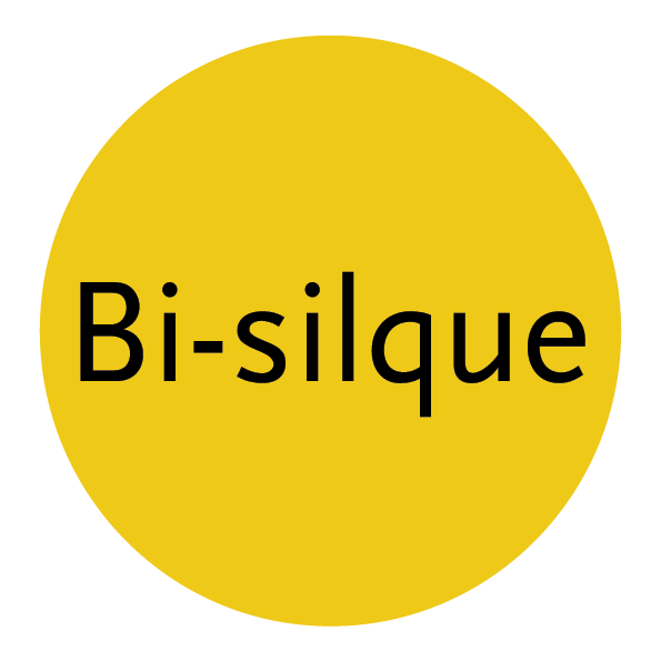 bisilque_logo.png