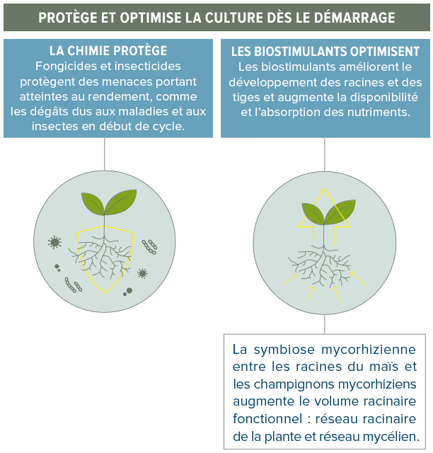 Fonctionnement Acceleron