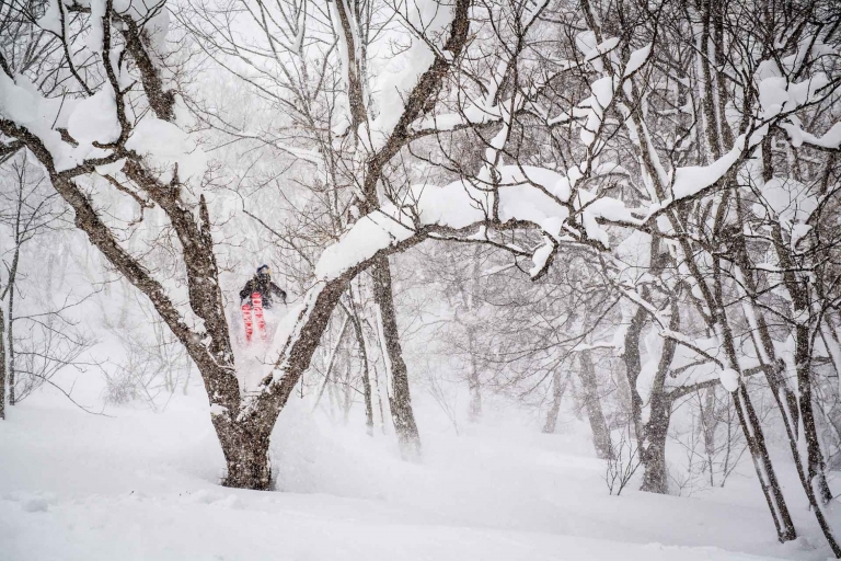 Japan_Dispatch_02-Skier-Michelle-Parker.-PHOTO-Eric-Berger--768x512