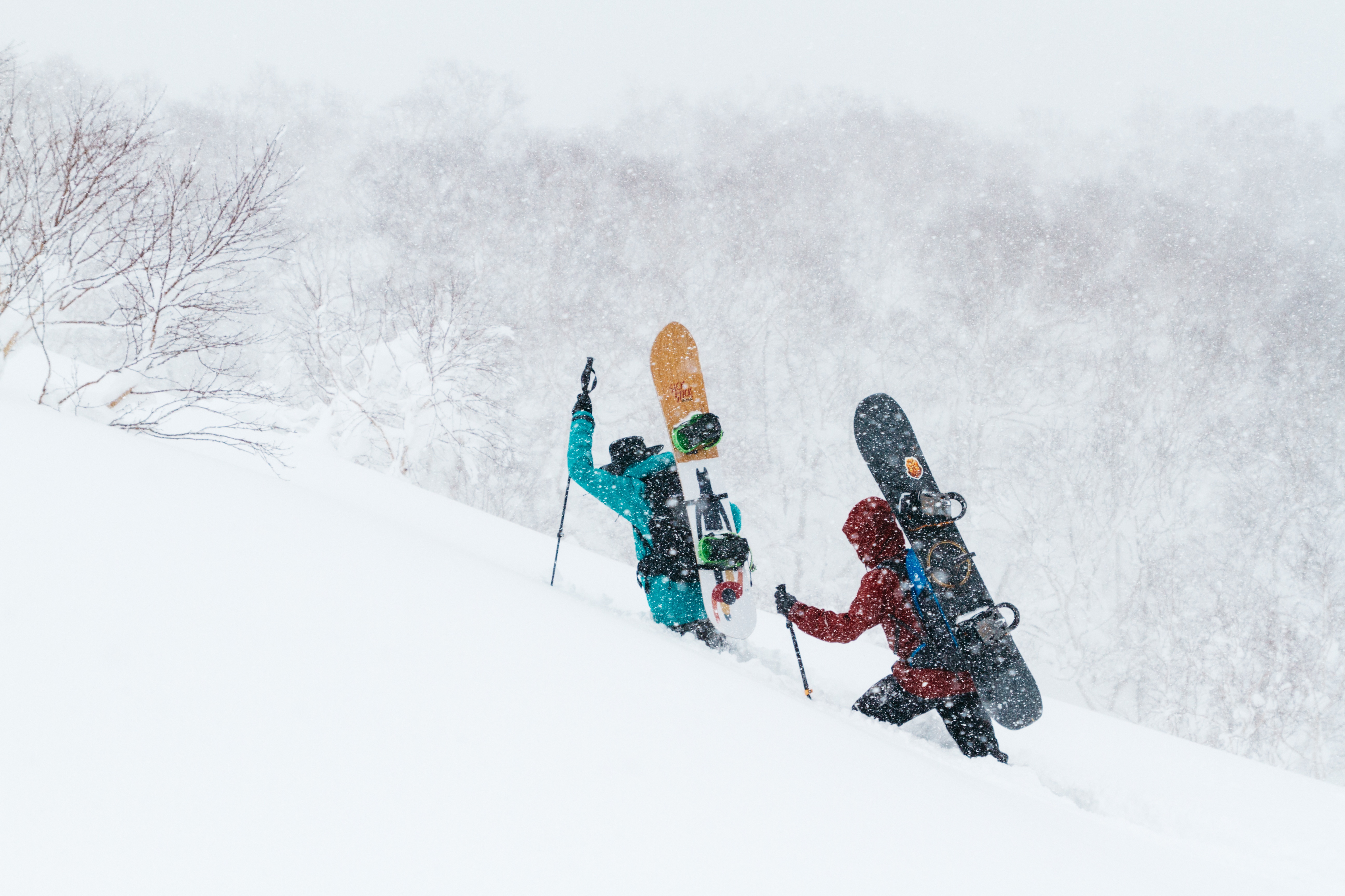 Niseko Backcountry - Matt Wiseman