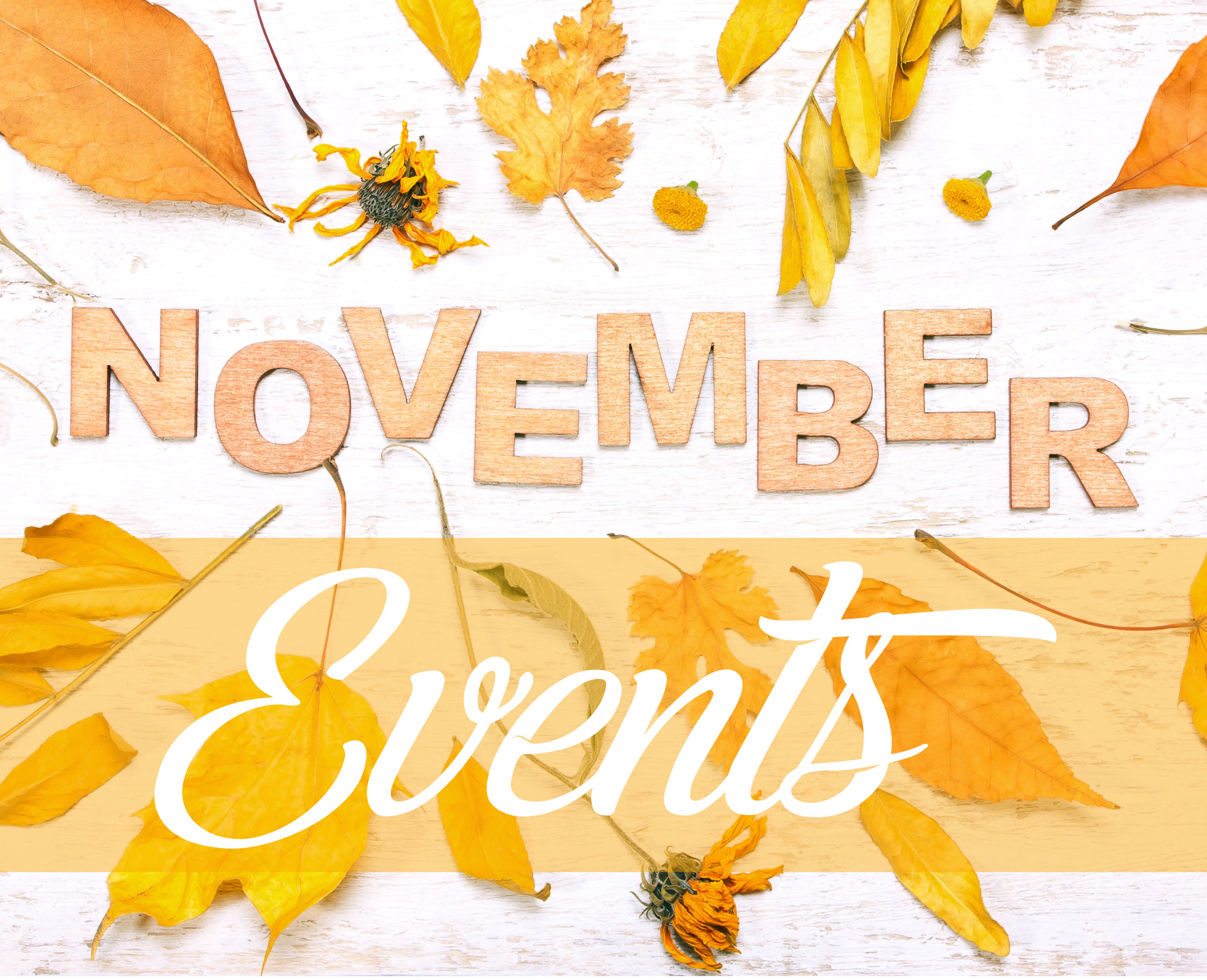 November Events 
