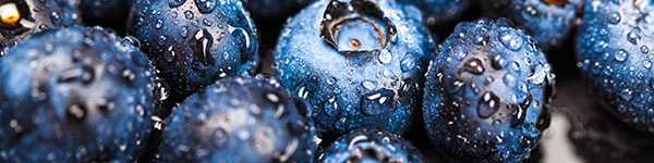 aatl-blueberries.jpg
