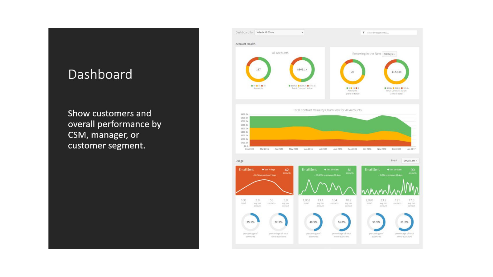 customer success tool