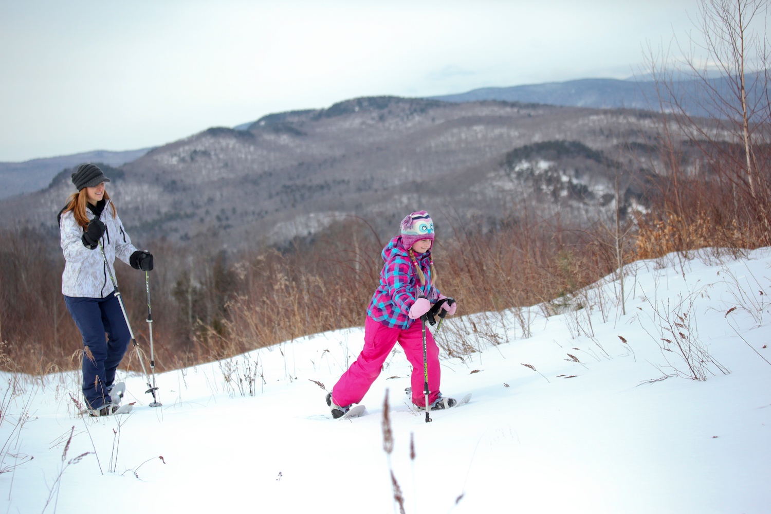 Winter Skyrider Tour