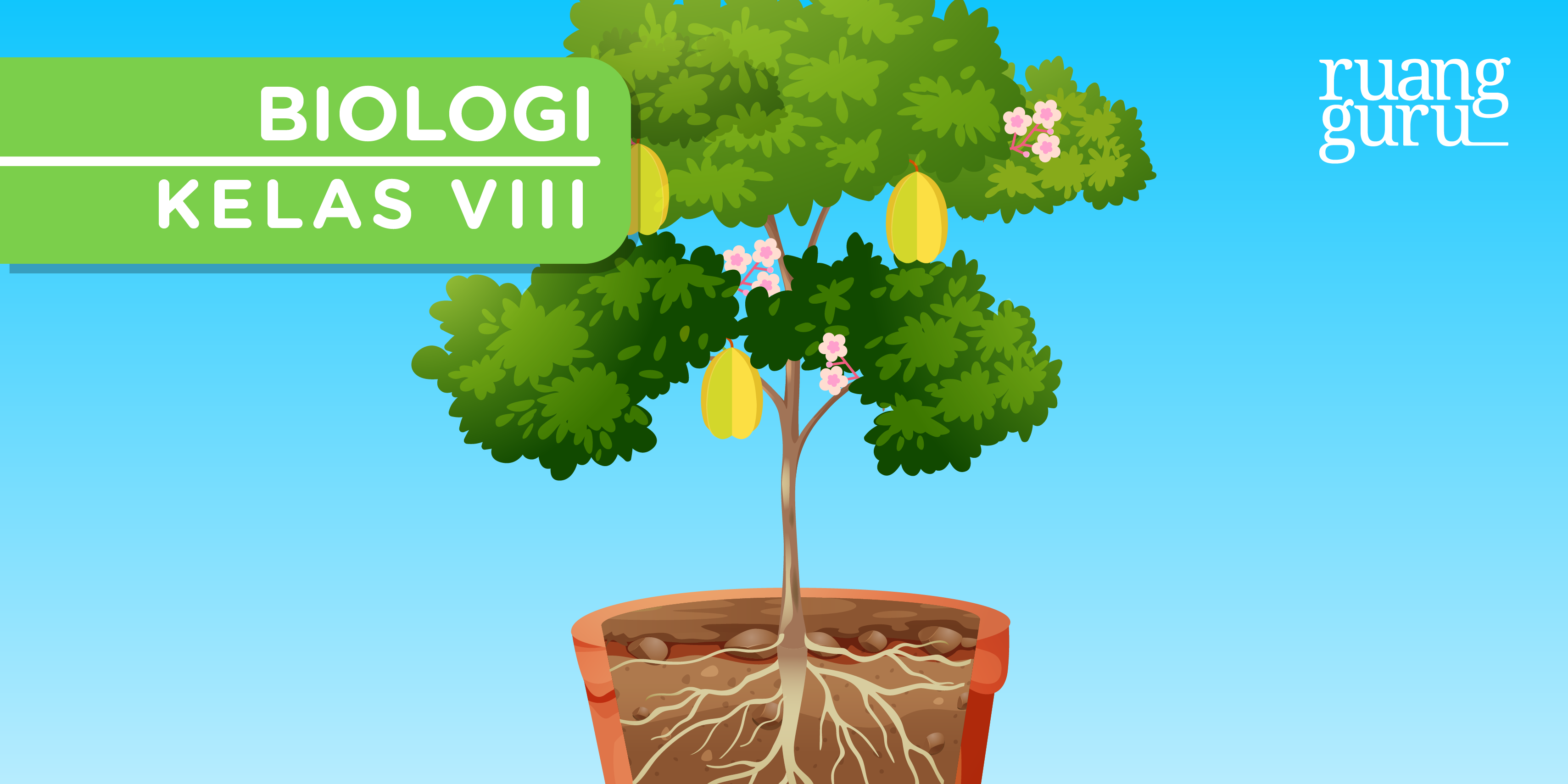 Biologi Kelas 8 Mengenal 5 Organ Tumbuhan Yang Penting Dan Fungsinya