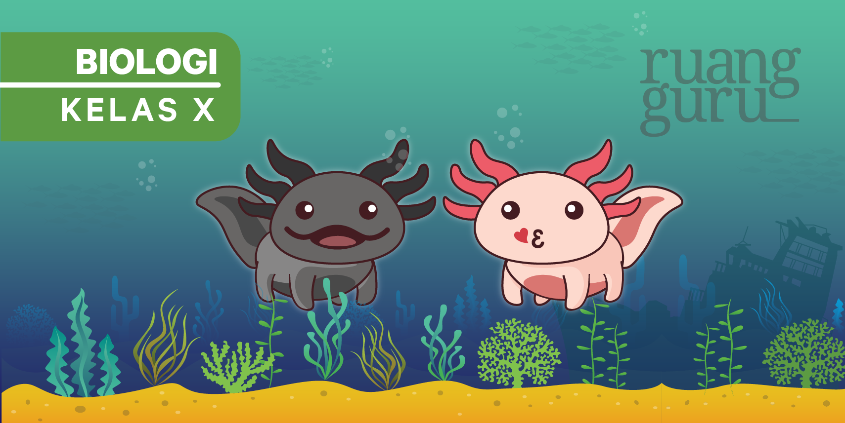 108 Gambar Ilustrasi Hewan Avertebrata HD Terbaru