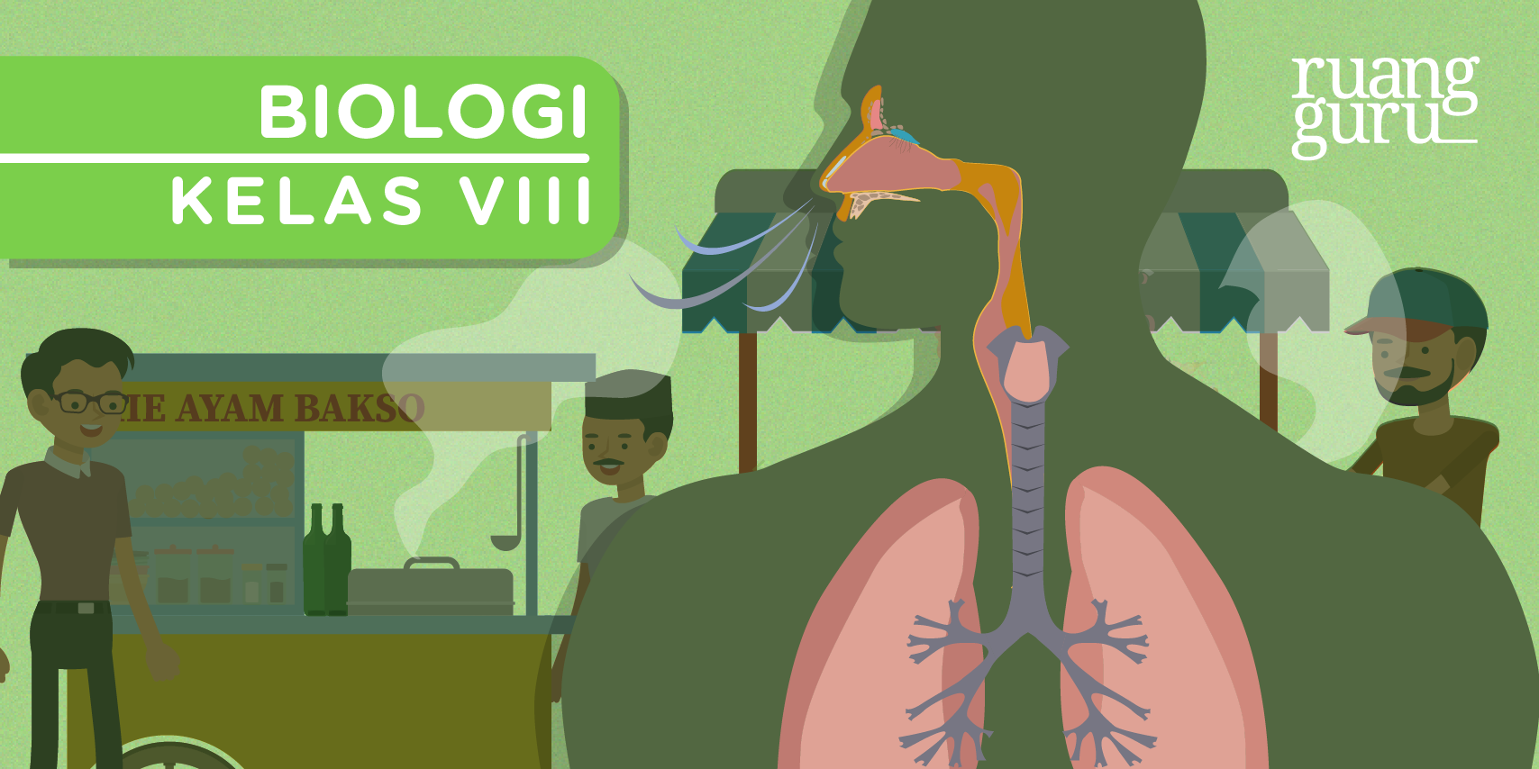 Mengenal 6 Organ Sistem Pernapasan Manusia Biologi Kelas 8
