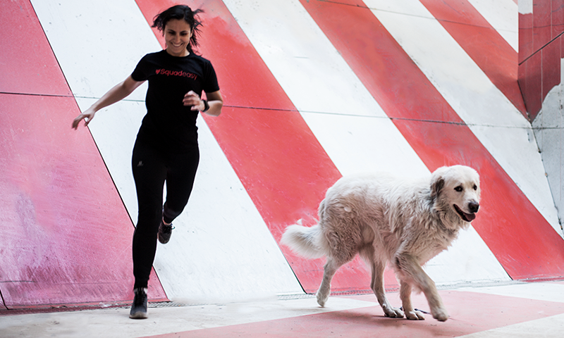 Multi activité vignette