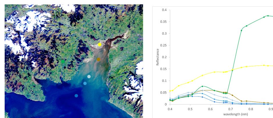 iCORforS3_subsetOLCI