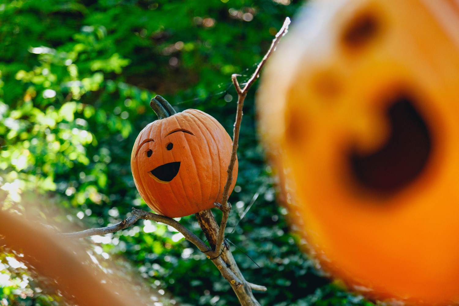 Free Halloween Real Estate GIFs: Boost Your Social Media Engagement