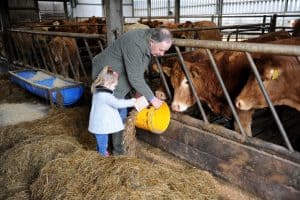 Everyone helps to get the farm through Bord Bia Audit