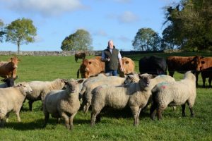 Pat Feehily using Herdwatch to help with farm management 