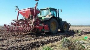 one-pass system for sowing the spring Barley