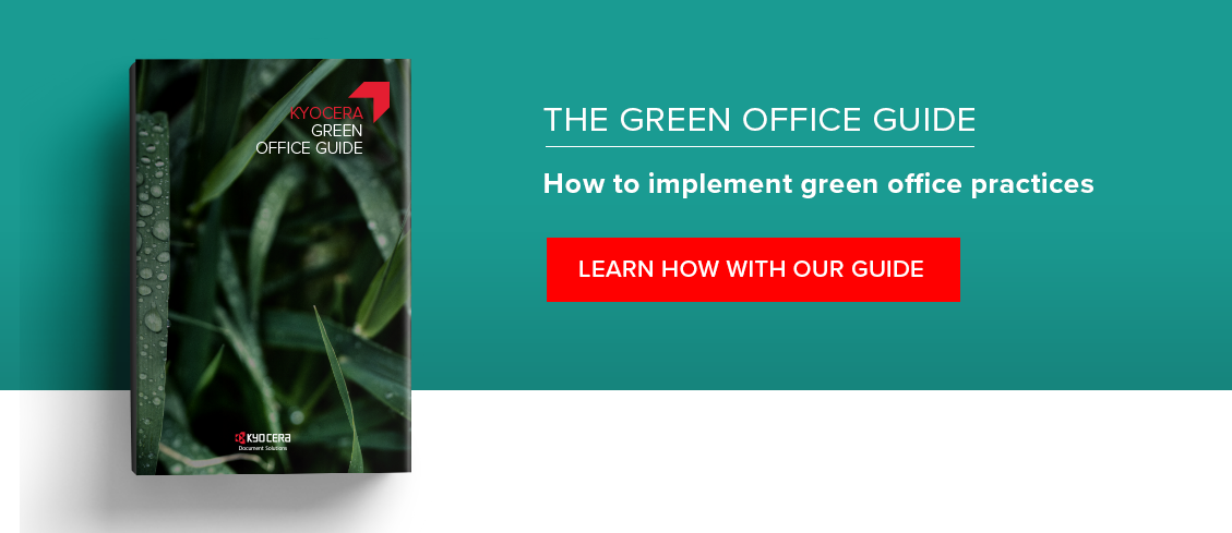 Green office guide: How to implement green office practices