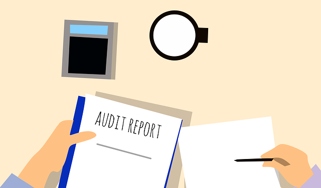 Compliance Audit Sigmund Software