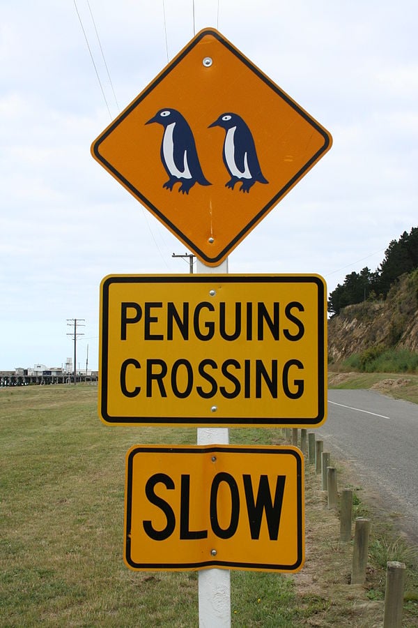 Funny road signs from around the world | Infinity Insurance