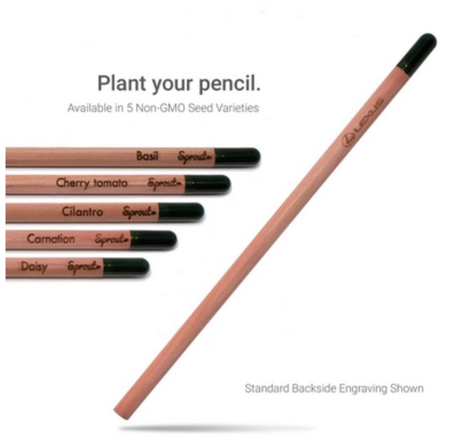 sprout_pencil