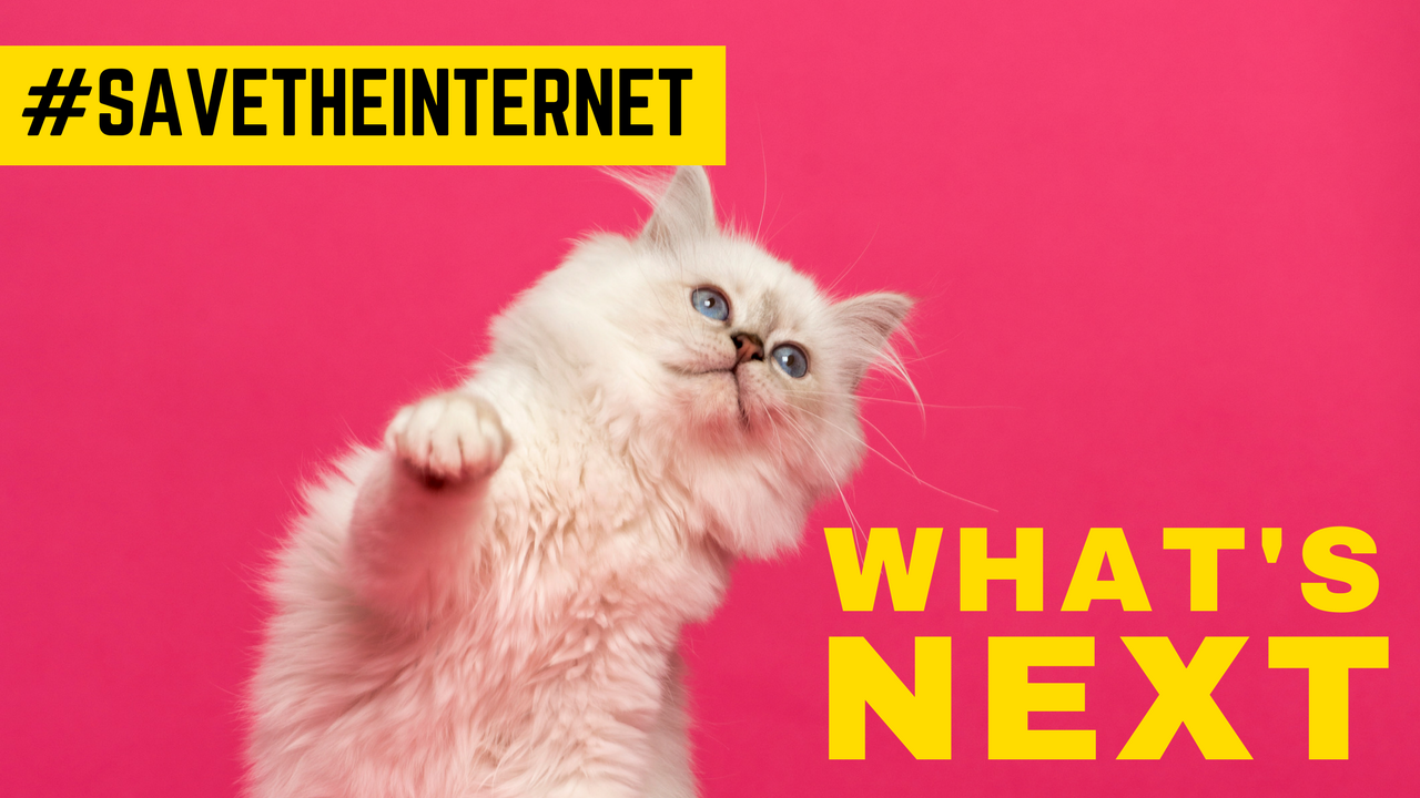 Net Neutrality: There's Still Time to Save It