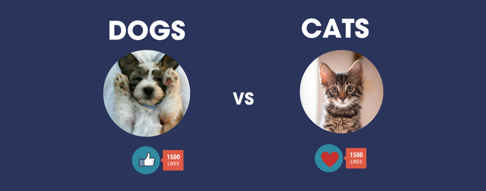 Facebook Live - Using Static Images, Videos and Polls