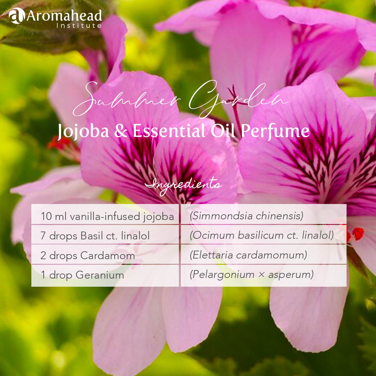 Garden of Flowers | Natural Perfume | Essential Oil Blend | Arogya Holistic  Healing